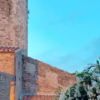 gelsomino